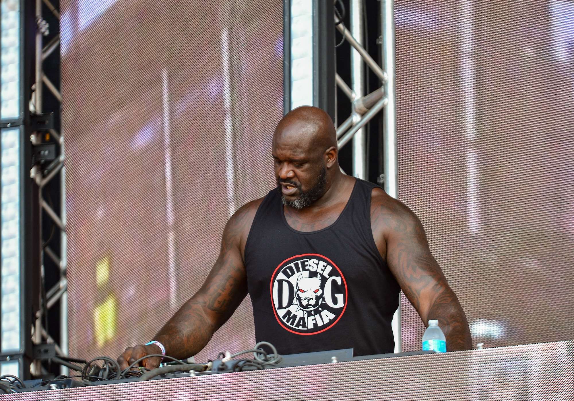 DJ Diesel Live at Lollapalooza [GALLERY] 6