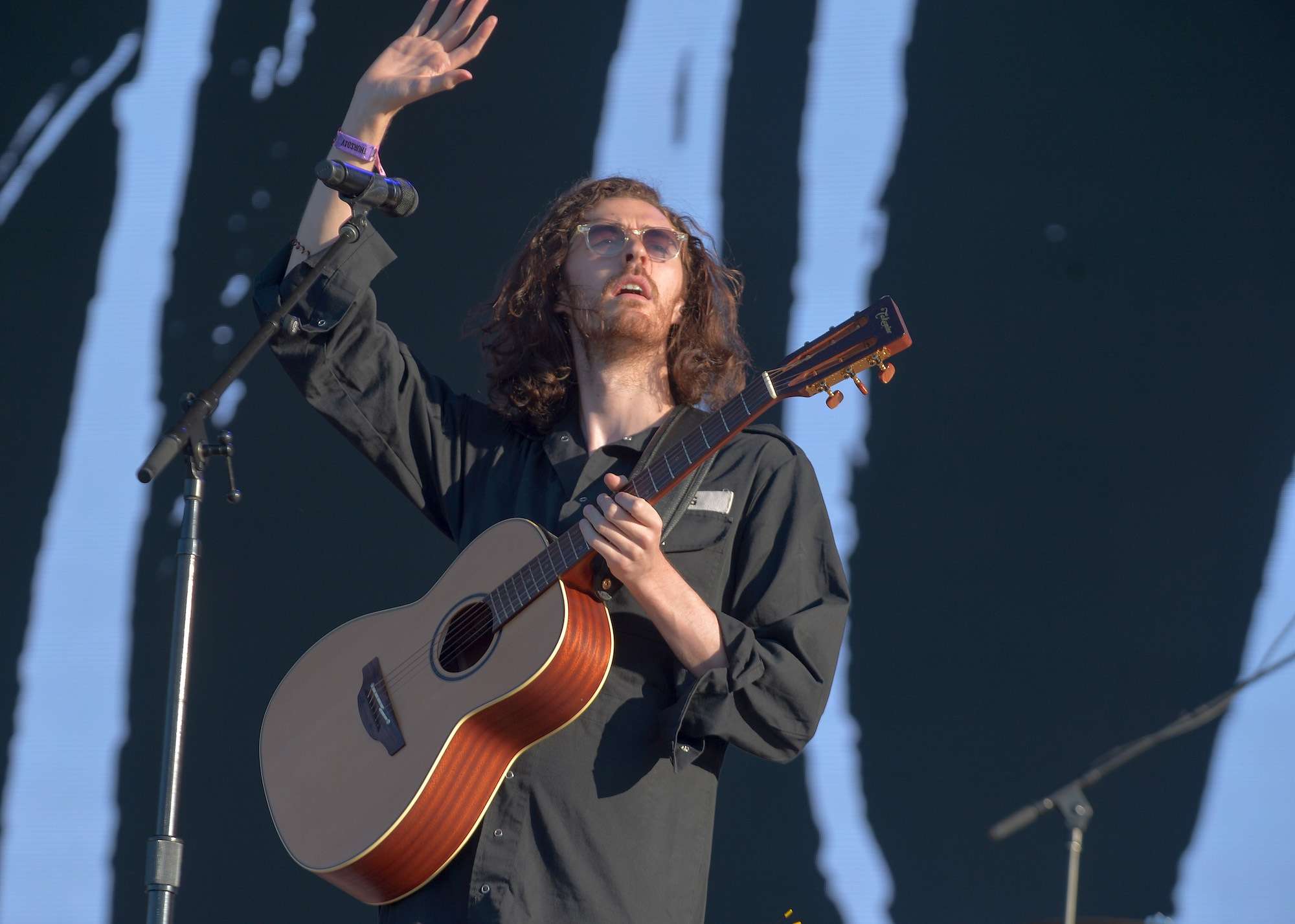 Hozier Live at Lollapalooza [GALLERY] 2