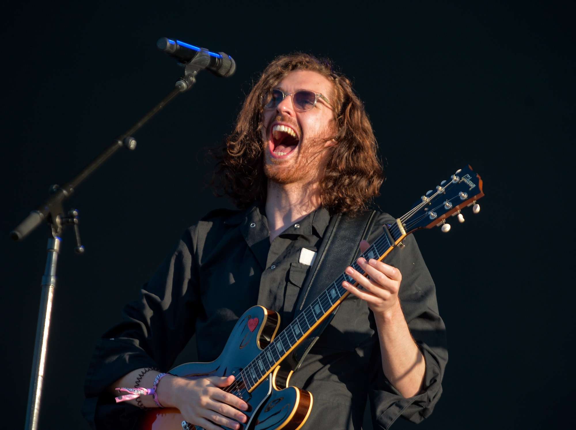 Hozier Live at Lollapalooza [GALLERY] 4