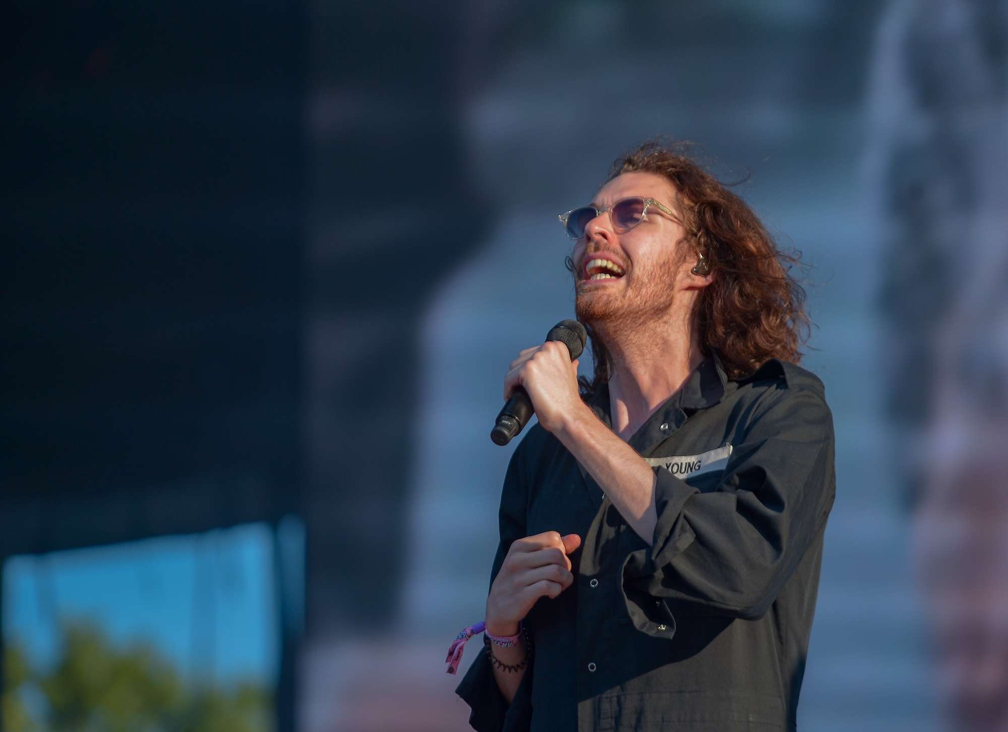 Hozier Live at Lollapalooza [GALLERY] 7