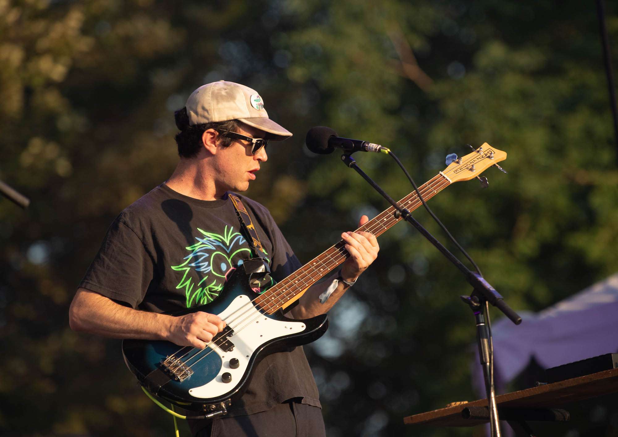 Animal Collective Live at Pitchfork [GALLERY] 11