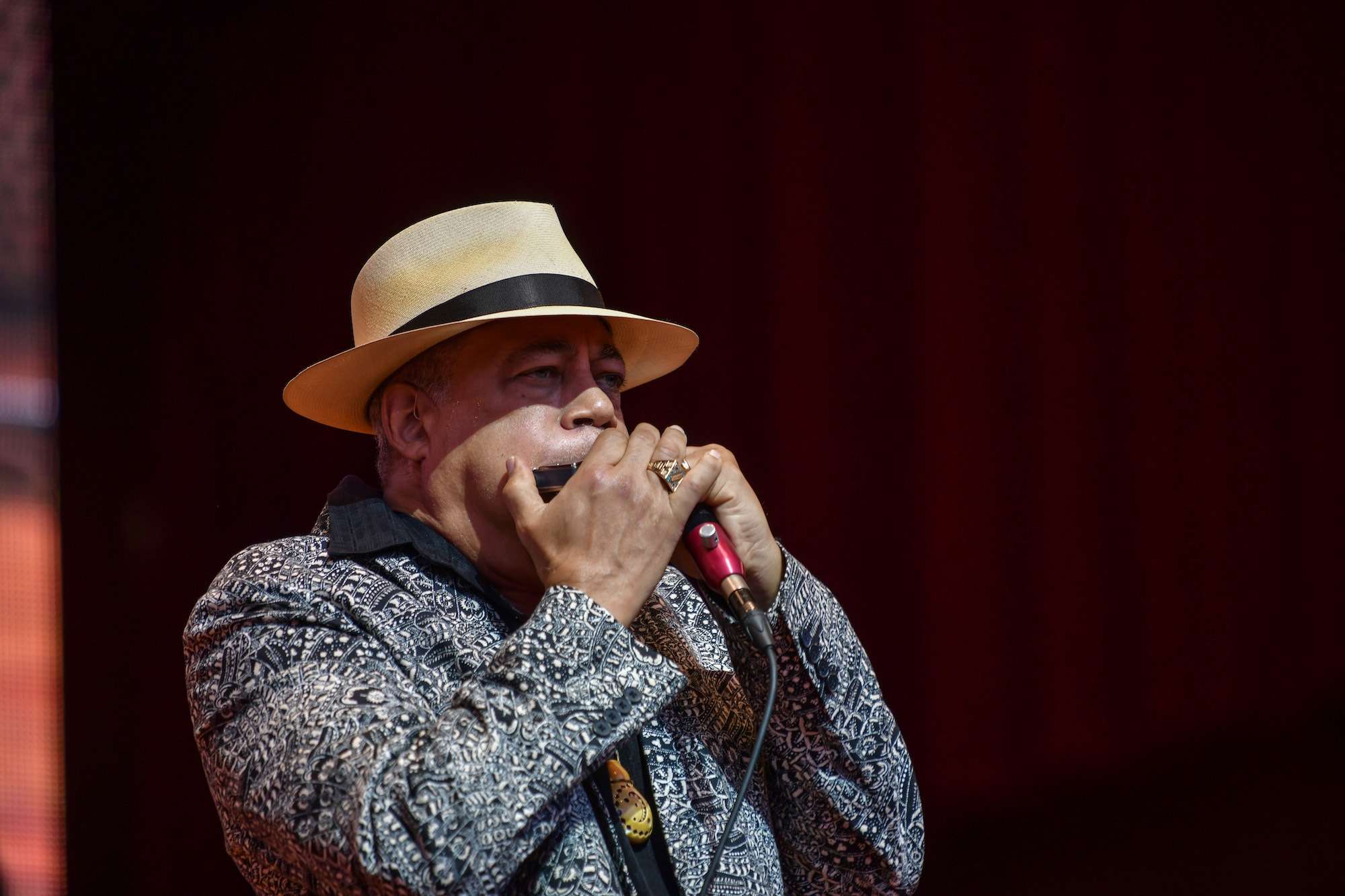 Billy Branch Live At Chicago Blues Fest [GALLERY] 7