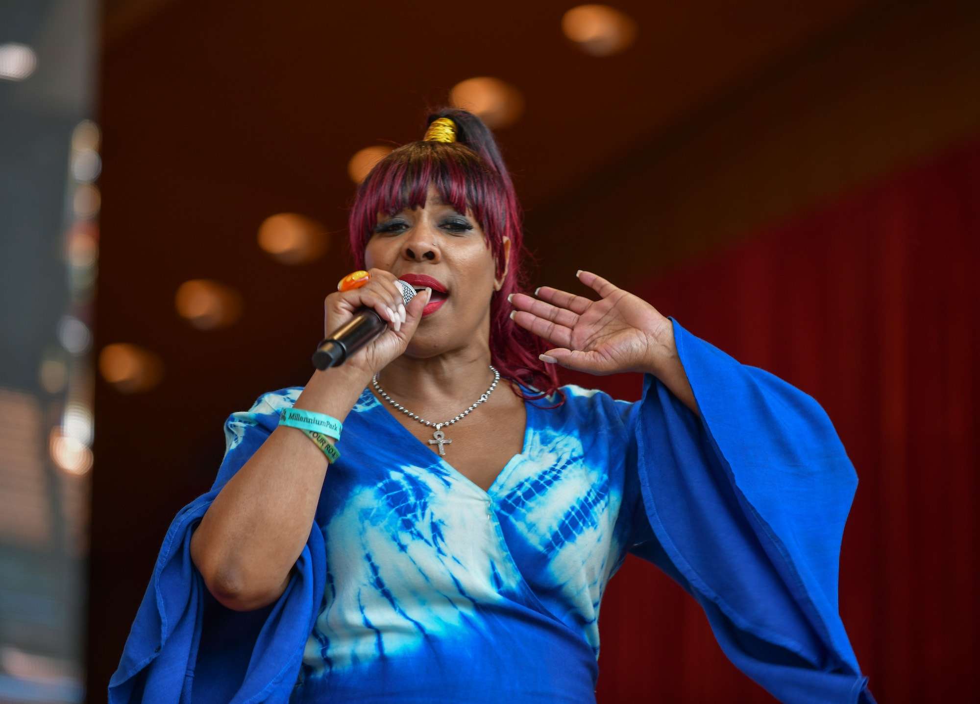 Chicago Soul Tribute Live At Chicago Blues Fest [GALLERY] 6
