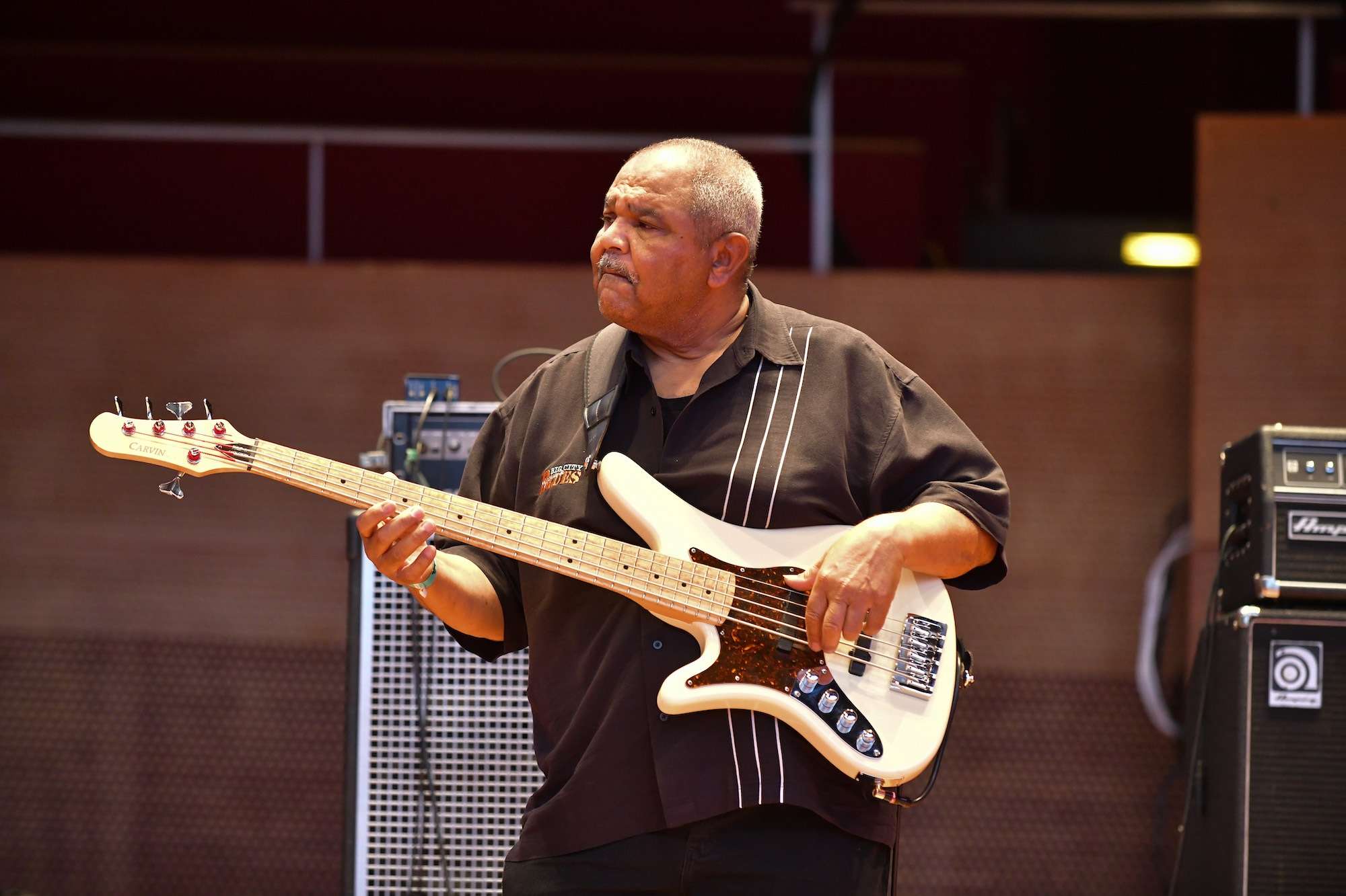 Ronnie Baker Brooks Live At Chicago Blues Fest [GALLERY] 8