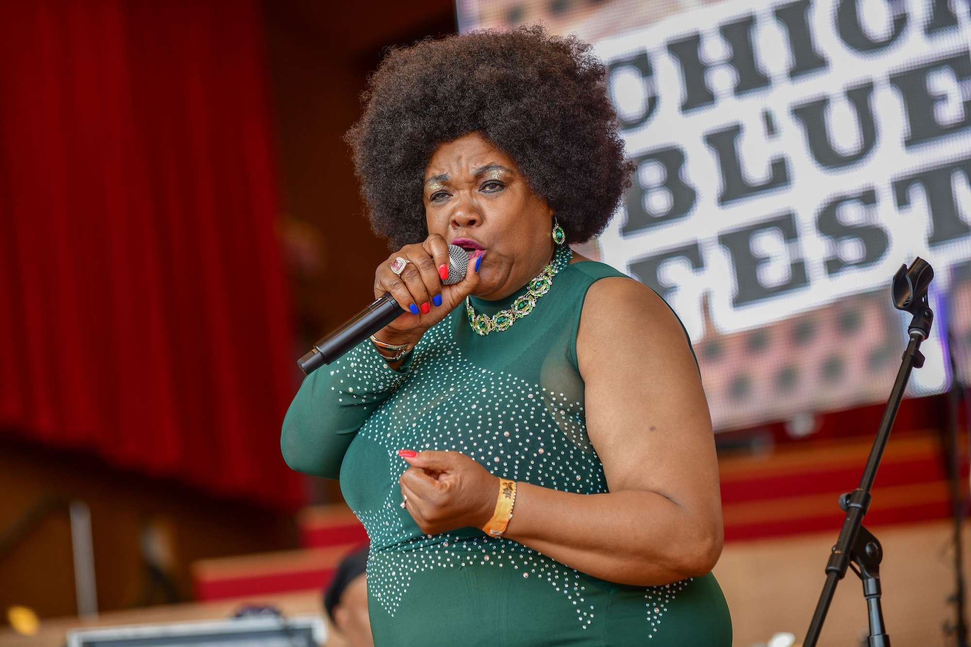 Women In Blues Live At Chicago Blues Fest [GALLERY] 8