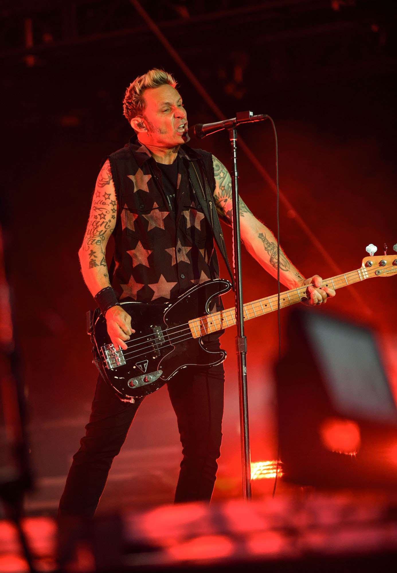 Green Day Live at Lollapalooza [GALLERY] 8