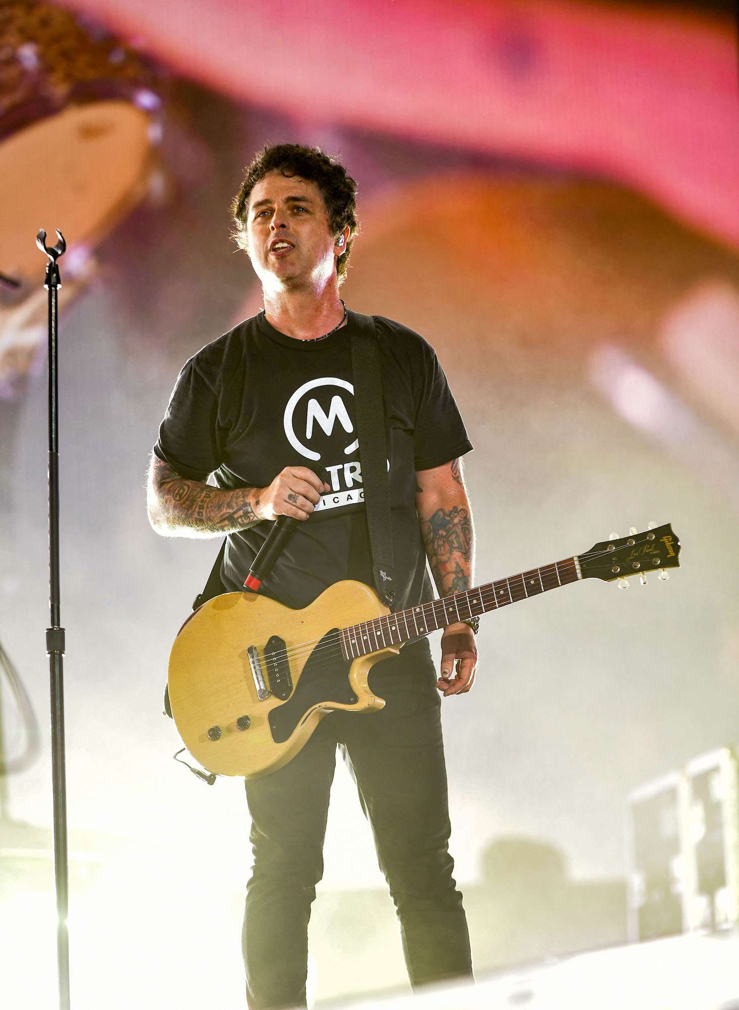 Green Day Live at Lollapalooza [GALLERY] 13
